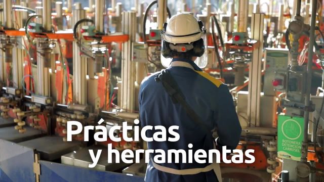 Bienvenida Facultad OIEM